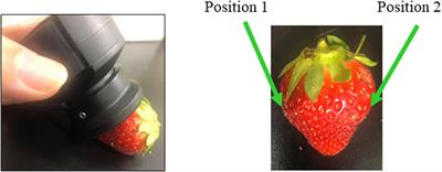 Aquaphotomics monitoring of strawberry fruit during cold storage – A comparison of two cooling systems